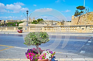 Flowers in pots along the Girolamo Cassar road, Valletta, Malta