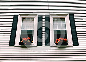 Flowers pots on the balcony by the windows in Boston