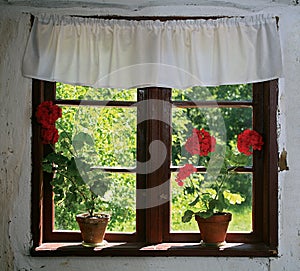 Flowers in pots on cottage house window.