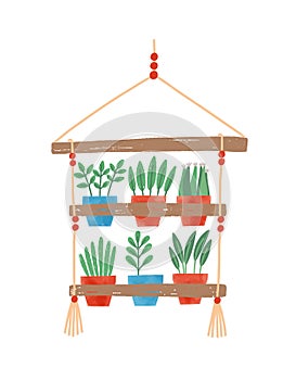 Flowers in pots flat vector illustration. Hanging shelf for plants. Home interior design element, coziness item