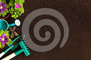 Flowers in pots gardening tools on the background of the soil.Copy space