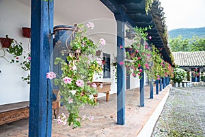 Flowers in pots, in an old hacienda