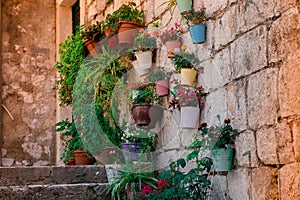 Flowers in pots suspended from an antique stone wall