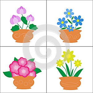 Flowers in pots on white background