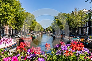 Flowers on the Prinsengracht