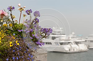 Flowers and private luxury yachts