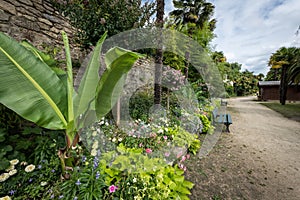 Flowers on the promenade Clair de lune in Dinard