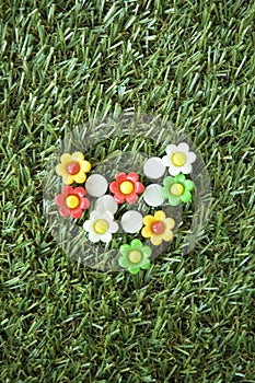 Flowers pushpins