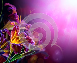 Flowers on a red background .With copy-space