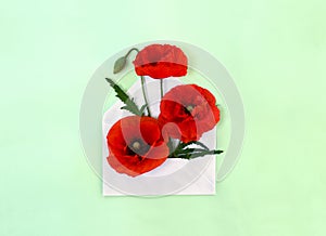 Flowers red poppies and bud with leaves  corn poppy, corn rose, red weed  in postal envelopeon a green paper background