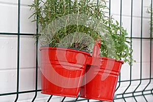 Flowers in red pots hang on the wall