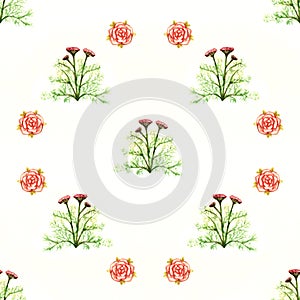 Flowers red roses encyclopedia greens floral watercolor seamless pattern isolated on white background
