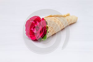 Flowers red roses in a waffle cone on white wooden background. Flat lay, top view, floral background