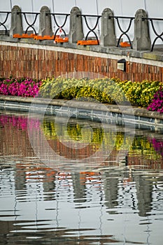 Flowers reflection photo