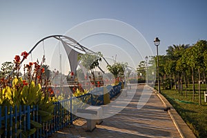 Flowers in  Regional Park in Indore India