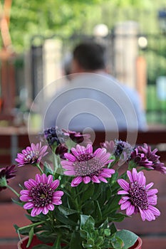 Fiori sul un ristorante tavolo 