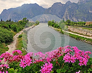 Flowers, river and mountains