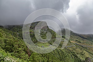 Flowers and Rocha dos Bardoes photo