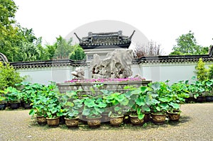 Flowers, rocks, ancient architecture