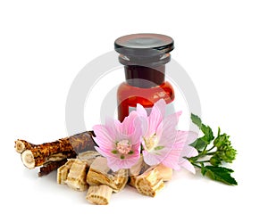 Flowers and roots Althaea (genus)