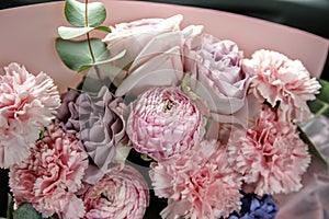 Flowers rose rouse pink love cute