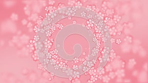 Flowers round pink frame footage loop