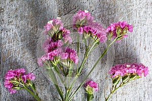 Flowers on rustic background