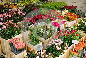 Flowers for sale in Amsterdam