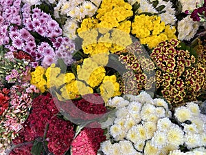 Flowers for Sale at a Market in Chilpancingo