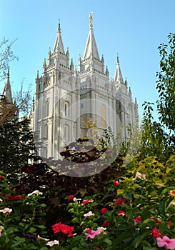 Flowers and Salt Lake Temple