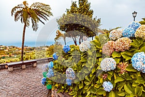 Flowers in Santana village on Madeira photo