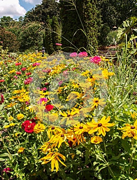 Flowers at Sarah P. Duke Gardens in Durham, North Carolina