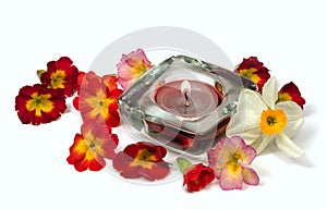 Flowers and scented candle