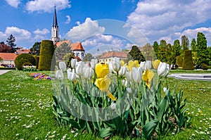 Flowers in Schoenbrunn Palace in Vienna, Austria