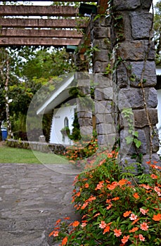 Flowers in Selva Negra (Ecolodge), Matagalpa, Nicaragua. photo