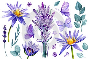 Flowers set on an isolated white background. Watercolor illustrations. Purple lotus, lavender, eucalyptus and butterfly