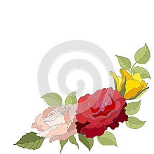 Flowers set. The rose elegant card. Vector illustration