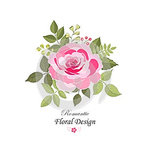 Flowers set. The rose elegant card. Vector illustration