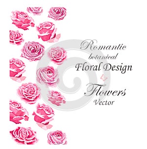 Flowers set. The rose elegant card. Vector illustration