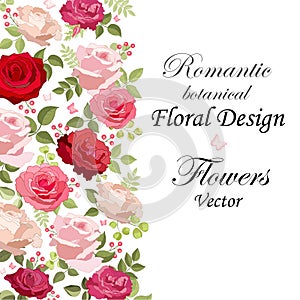 Flowers set. The rose elegant card. Vector illustration