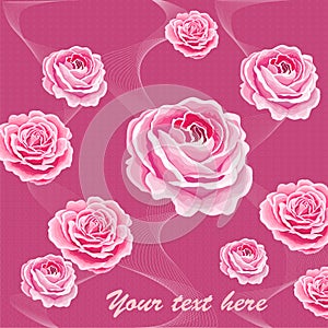 Flowers set. The rose elegant card. Vector illustration