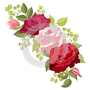 Flowers set. The rose elegant card. Vector illustration