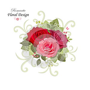 Flowers set. The rose elegant card. Vector illustration