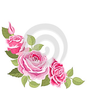 Flowers set. The rose elegant card. Vector illustration