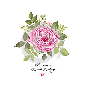 Flowers set. The rose elegant card. Vector illustration