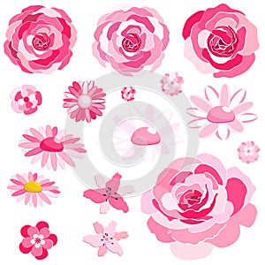 Flowers set. The rose elegant card. Vector illustration