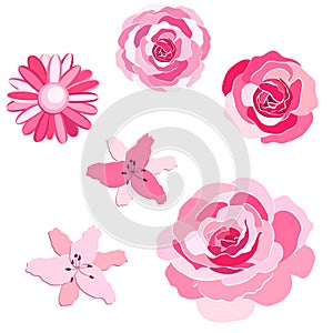 Flowers set. The rose elegant card. Vector illustration