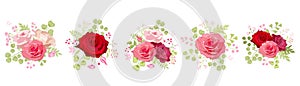 Flowers set. The rose elegant card. Vector illustration