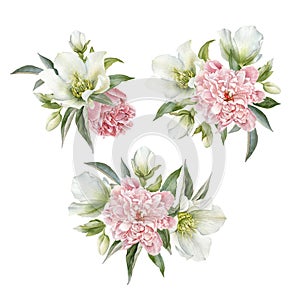 Flowers set of watercolor hellebore and peonies photo