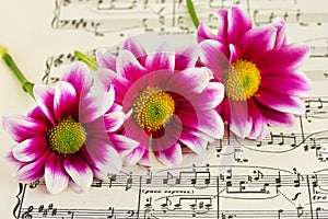 Flores sobre el una carta música 